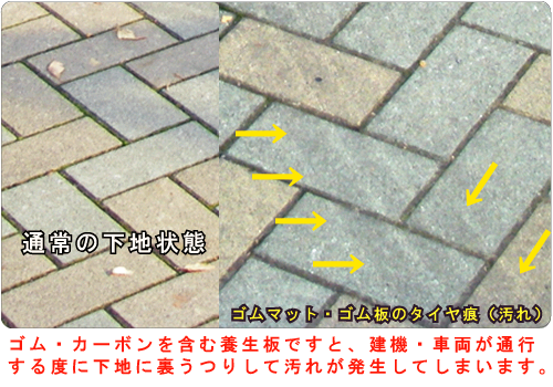 d_s_gomuyogore